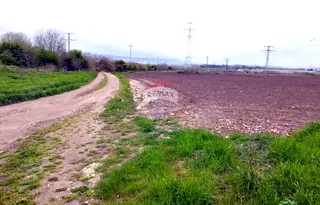 Парцел в с. Тополи