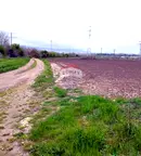 Парцел в с. Тополи