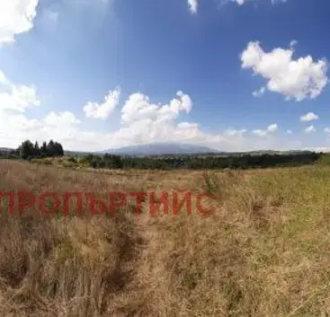 Photo 3 — Plot in Plana