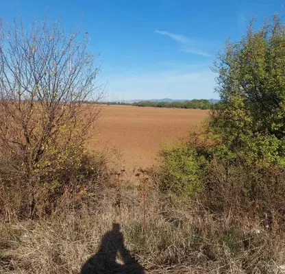 Photo 2 — Plot in Lokorsko