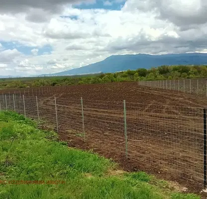 Photo 2 — Plot in Ivanyane