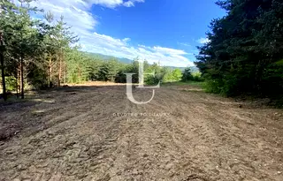 Парцел в с. Бистрица