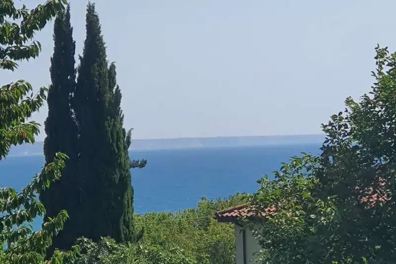 Plot in Zlatni Pyasyci