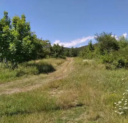 Photo 4 — Plot in Kytina