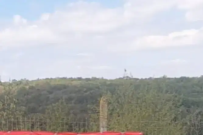 Plot in Zvezdica