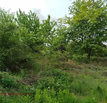 Photo 2 — Plot in Novi Iskyr