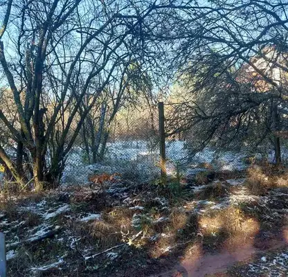 Photo 2 — Plot in Podgumer