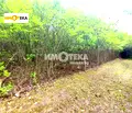 Снимка 2 — Парцел в с. Лозен