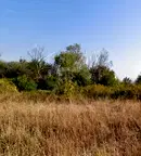 Парцел в с. Извор
