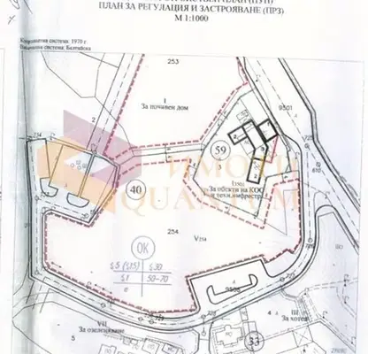 Photo 5 — Plot in к.к. Чайка