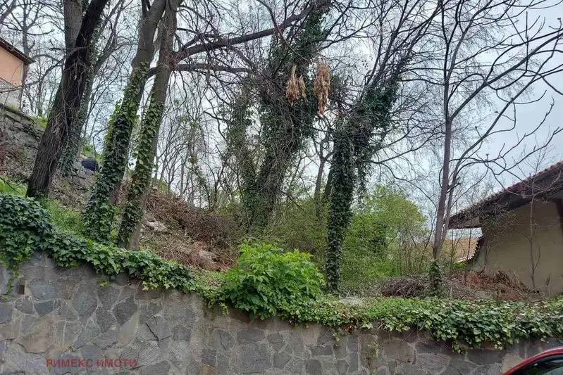 Plot in Старият