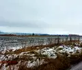 Снимка 2 — Парцел в с. Горни Богров