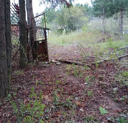 Photo 2 — Plot in Voinegovci