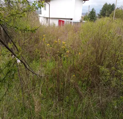 Photo 4 — Plot in Voinegovci