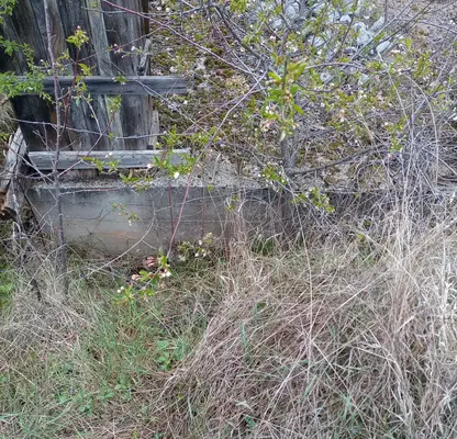 Photo 5 — Plot in Voinegovci