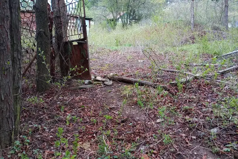 Plot in Voinegovci
