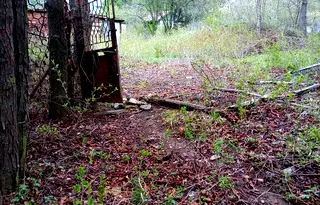 Парцел в с. Войнеговци