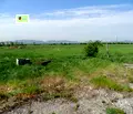 Снимка 4 — Парцел в с. Волуяк
