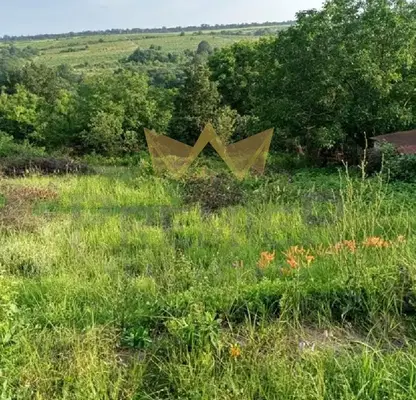 Photo 2 — Plot in Zvezdica