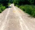 Снимка 5 — Парцел в с. Звездица