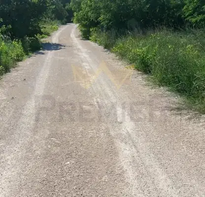 Photo 5 — Plot in Zvezdica