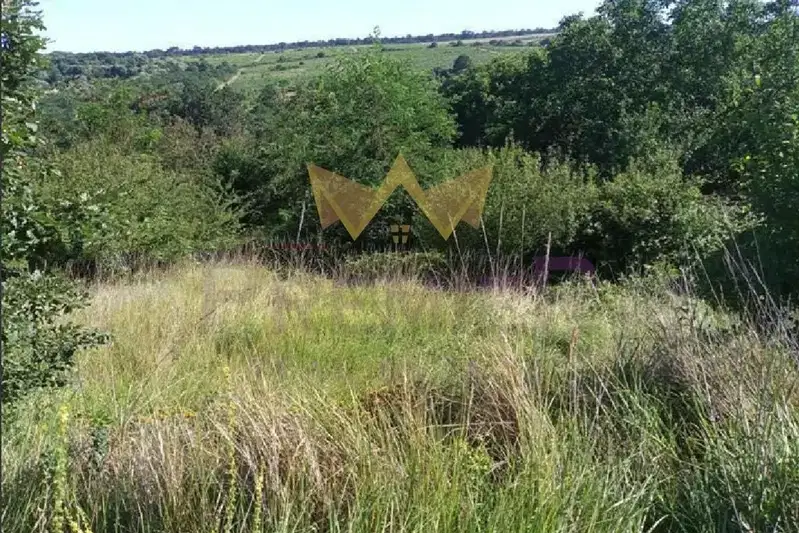 Plot in Zvezdica