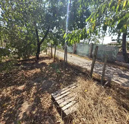 Photo 2 — Plot in Zvezdica