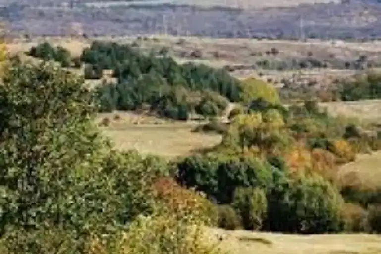 Plot in Pancharevo