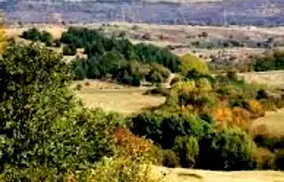 Парцел в с. Панчарево