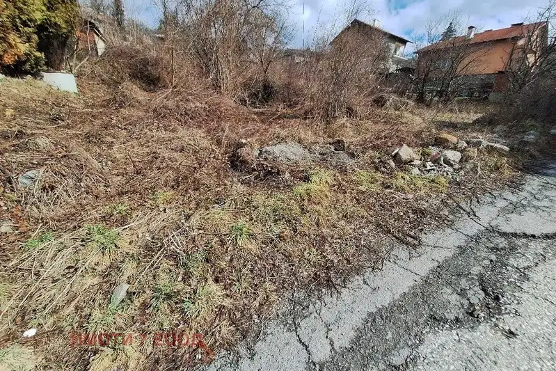 Plot in Vladaya