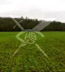 Парцел в с. Изворище