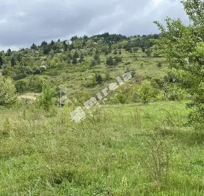 Photo 5 — Plot in Bistrica