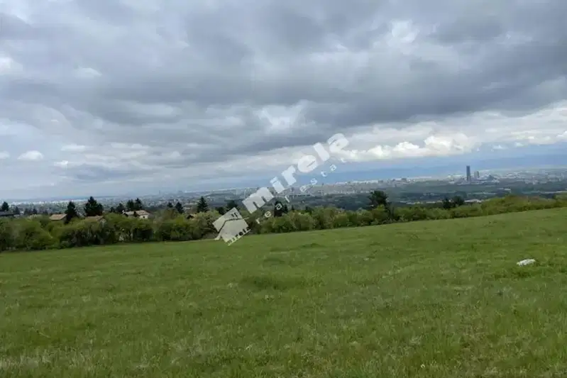 Plot in Bistrica
