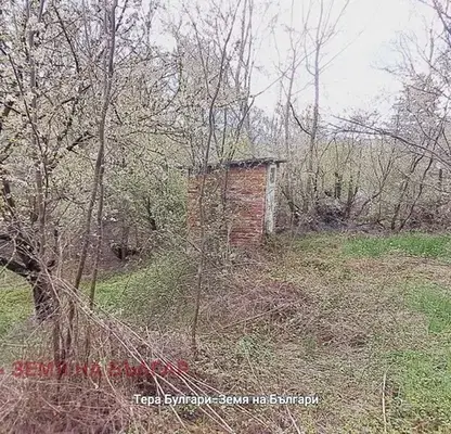 Photo 4 — Plot in Ivanyane