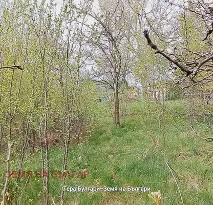 Photo 5 — Plot in Ivanyane
