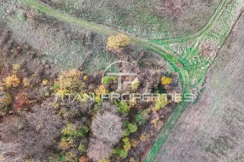 Plot in Bankya