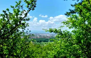 Парцел в с. Герман