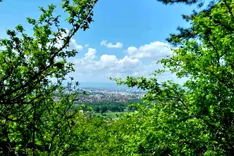 Парцел в с. Герман