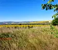 Снимка 3 — Парцел в с. Тополи