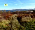Снимка 4 — Парцел в с. Бистрица