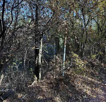 Photo 3 — Plot in Novi Iskyr