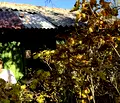 Снимка 4 — Парцел в Нови Искър