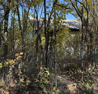 Photo 5 — Plot in Novi Iskyr