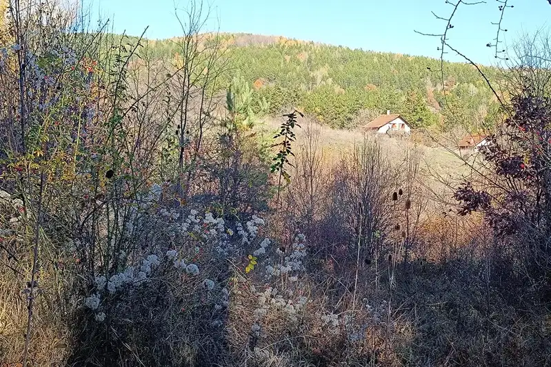 Plot in Novi Iskyr