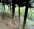 Снимка 4 — Парцел в с. Панчарево