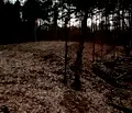 Снимка 2 — Парцел в с. Долни Пасарел