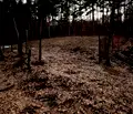 Снимка 4 — Парцел в с. Долни Пасарел