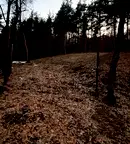 Парцел в с. Долни Пасарел