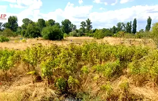 Парцел в с. Герман
