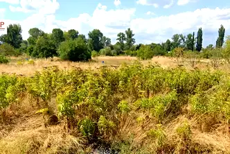 Парцел в с. Герман